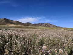 -扁都口生态休闲旅游区