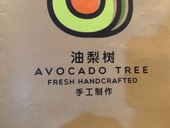 -油梨树 AVOCADO TREE(亮马桥店)