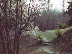 -国家植物园南园