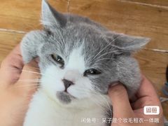 -豪客来牛排(中核世纪广场店)