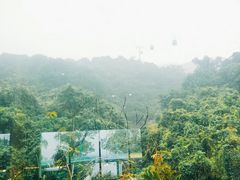 -东部华侨城