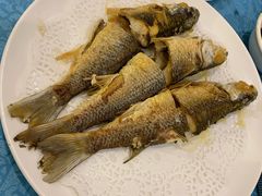 -御唐府海珊瑚主题餐厅