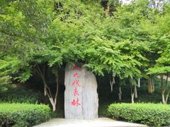 -龙头寺公园