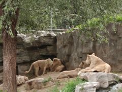 -北京野生动物园