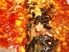 -红辣椒·川菜·火锅(张杨路店)