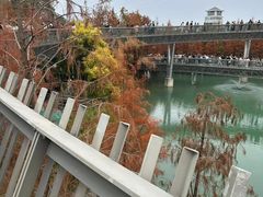 -福道