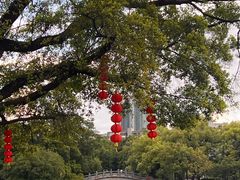 -荔湾湖公园