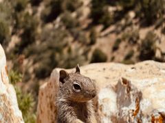 -科罗拉多大峡谷