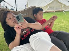 -春花秋色城市公园