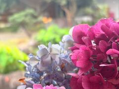 -日出青木·杭帮菜名店