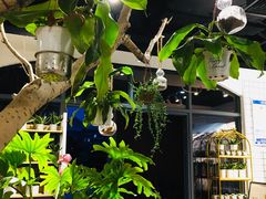 -豆恩咖餐(厦大翔安店)