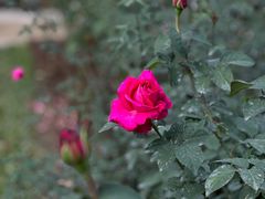 -人民公园(罗湖区)