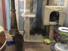 -小时光咖啡馆(开森度假森林店)