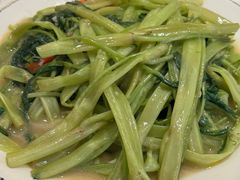 -中山市绿华园食府