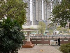 -成都市活水公园