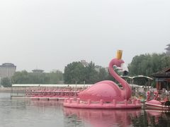 -莲花池公园