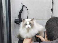 -萌小它宠物健康管理中心(怡海家园店)