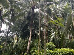 -三亚湾海居铂尔曼度假酒店