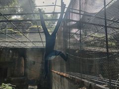 -南宁市动物园