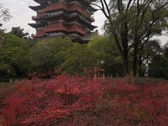 -艾溪湖湿地公园