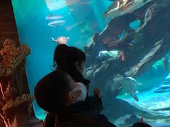 -华夏文旅海洋公园