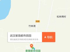 -武汉紫薇都市田园