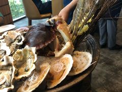 -日进一片海.生腌海鲜火锅.宵夜烧烤(三里屯总店)