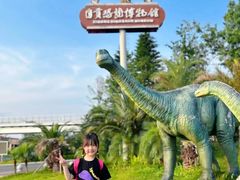 -自贡恐龙博物馆