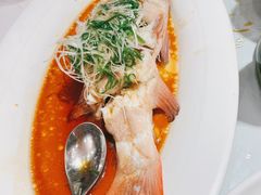 -老洋房花园饭店(绍兴路店)