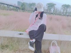 -王借岗森林公园