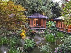 -大妙火锅·非物质文化遗产(东湖公园店)