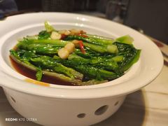 -唐猫庭院·千年陕菜(大唐不夜城店)