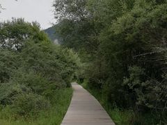 -九寨沟-树正沟