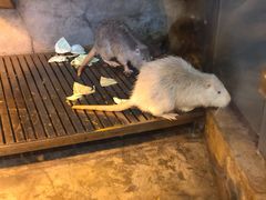 -成都浩海立方海洋公园