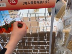 -船歌·鱼水饺青岛菜(国贸商城店)