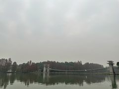 -东湖落雁景区