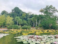 -中国科学院西双版纳热带植物园