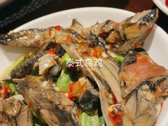 -博悦茶餐厅(文殊院店)
