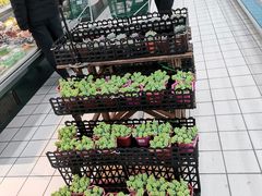 -青岛利群四方购物广场