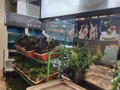 -海鸿荟·沿江菜(中山北路店)