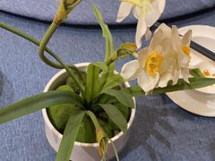 -钱塘秋荷(开鲁路店)