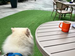 -Dough&Joe团憩(瑞虹天地月亮湾店)