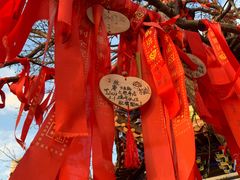 -东莞观音山旅游风景区