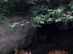 -台州府城(江南长城)