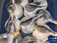 -帝皇海海鲜豆捞(桐泾商务广场店)