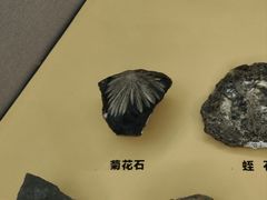 -湖南省地质博物馆