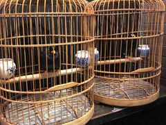 -到家尝北京菜(西坝河店)