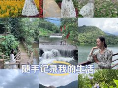 -广州市石门国家森林公园