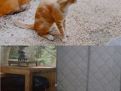 -凡烟外慢生活体验馆