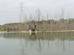 -昆山城市生态森林公园